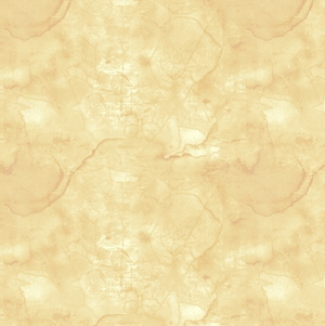 Blank Quilting - Urban Legend Texture Tan 7101-44 TAN