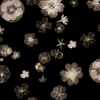 Floral Impressions Pressed Floral Black Gold 8678M-12 by Benartex