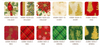 Winter's Grandeur 8 - Holiday Colorstory Charm Squares by Robert Kaufman