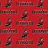 Licensed National Football League Cotton Fabrics | Tampa Bay Buccaneers