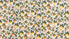 Fat Quarter - Primavera - Citrus Floral Cream