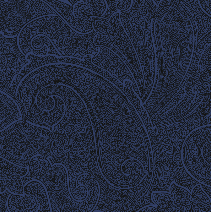 Floral Fantasy Paisley Glacier by Jinny Beyer