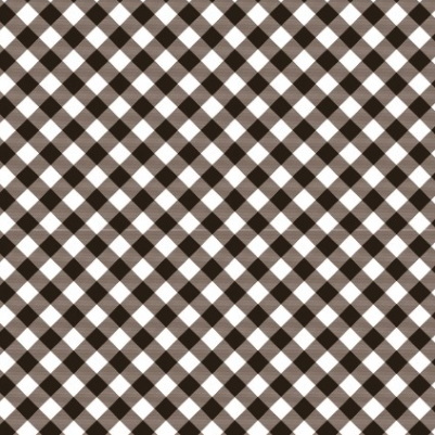 Prairie Sisters Gingham Gray by Poppie Cotton | Designer Fabrics