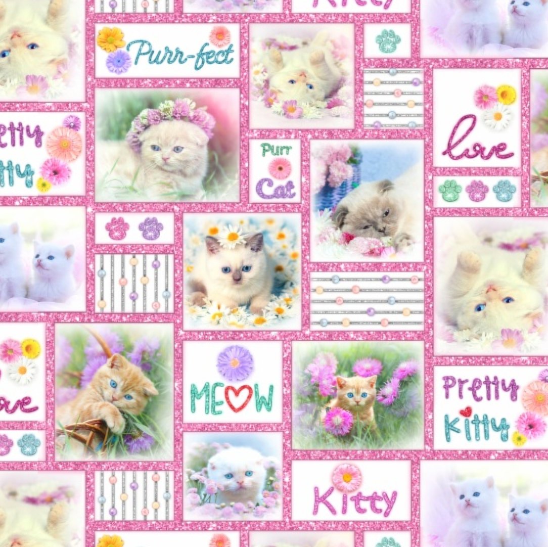 Studio E Fabrics - Kitty Glitter - Patchwork