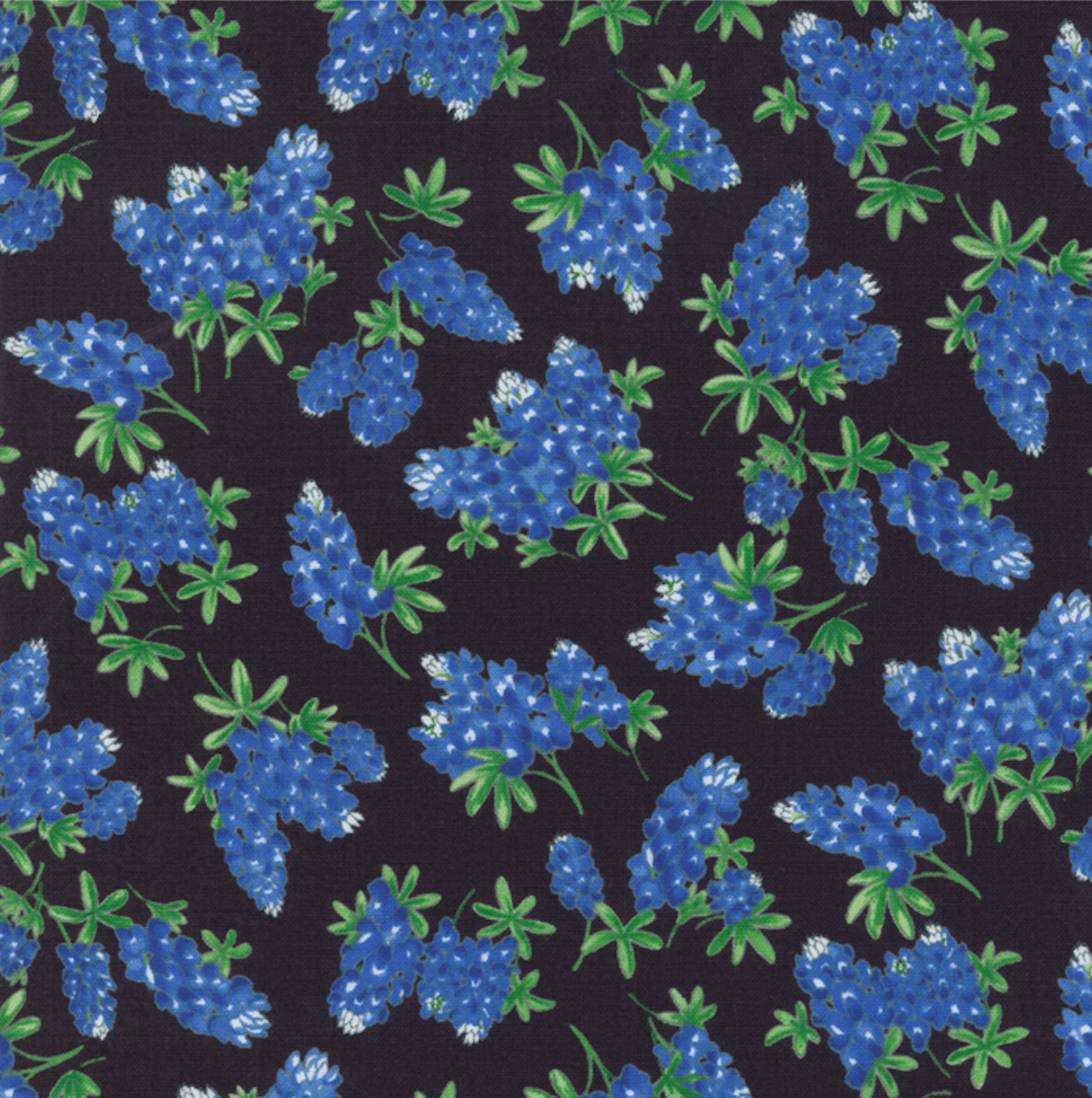 Fields of Blue - Tossed Bluebonnets on Black by Moda 33453 18