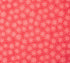 Blank Quilting - Starlet - Star Coral 6383-CORAL