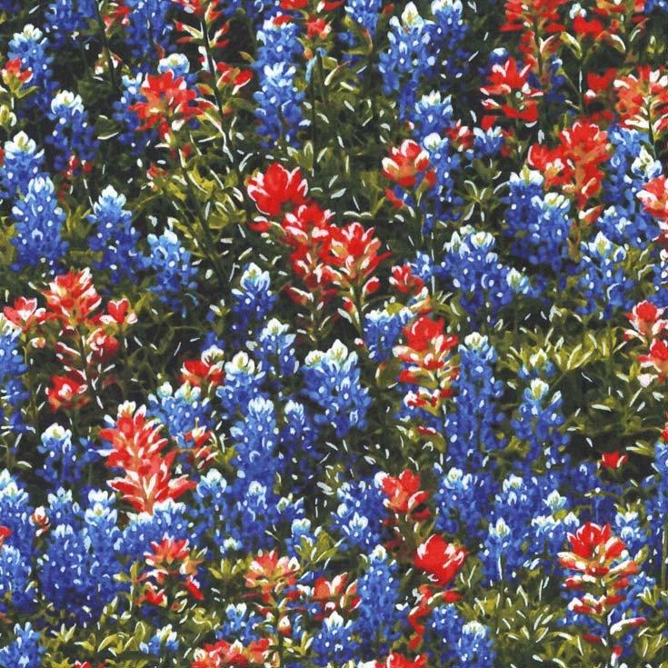 Texas Flowers