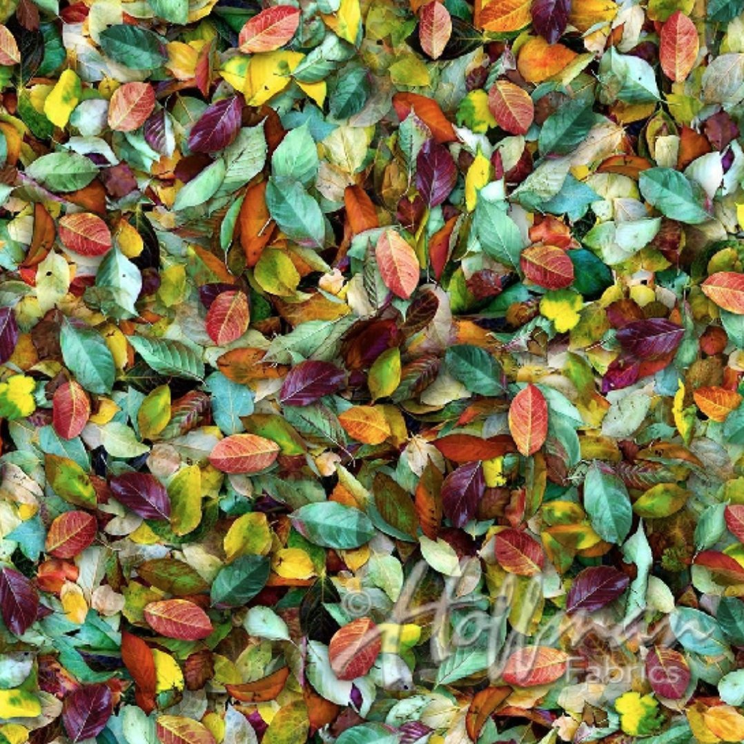 Hoffman Leaf Me Be Digitally Printed Fabric - Designer Fabrics Sale